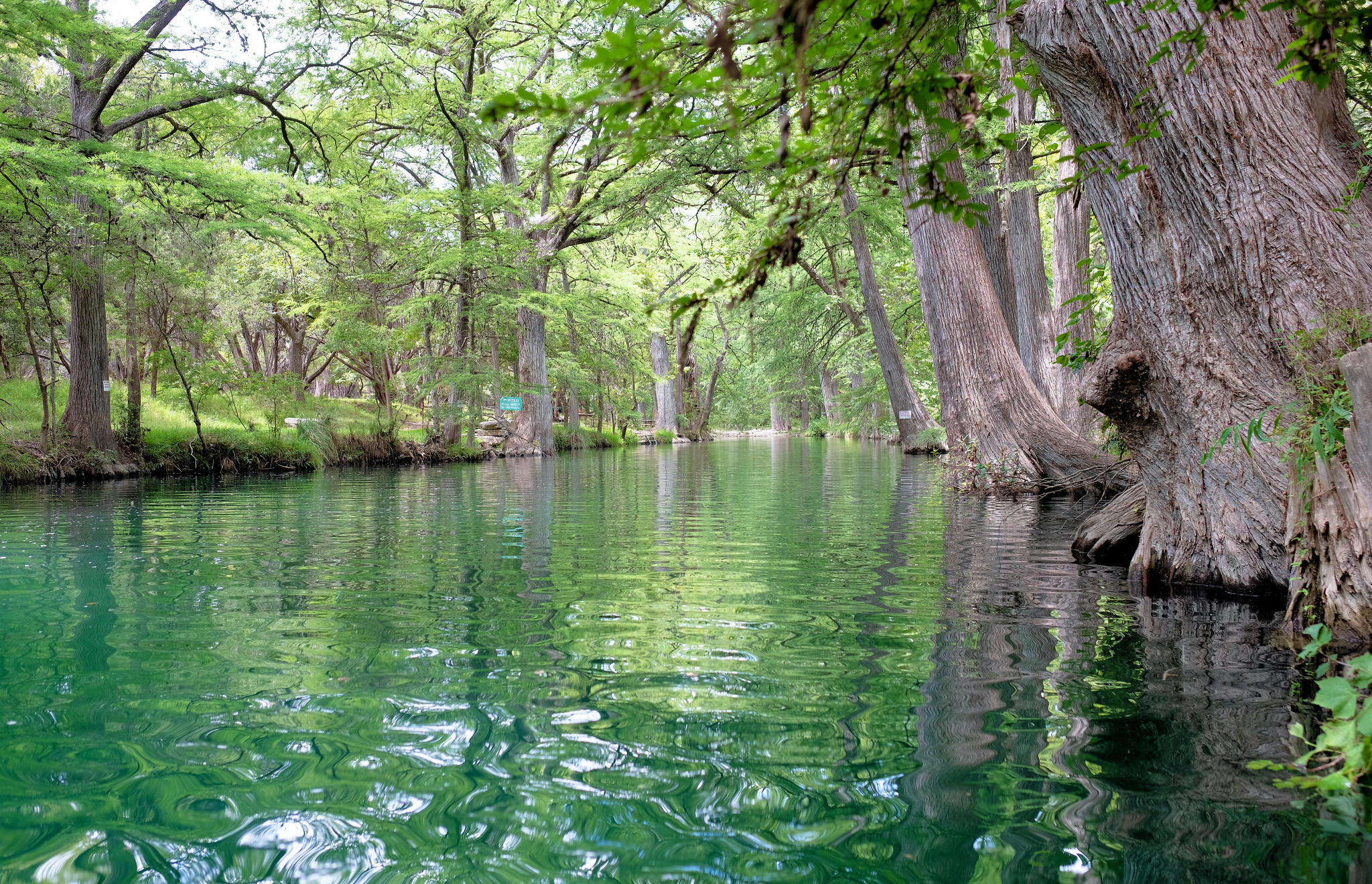Wimberley